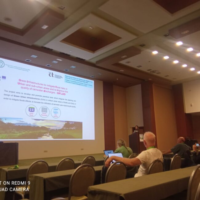 evento IEES - Nature-Based Solutions for flooding risk mitigation in an urban area: The case study of Catania (Sicily, Italy)”